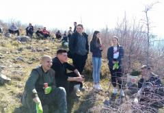 Pošumljavanje brda iznad naselja Semetovac i Livač